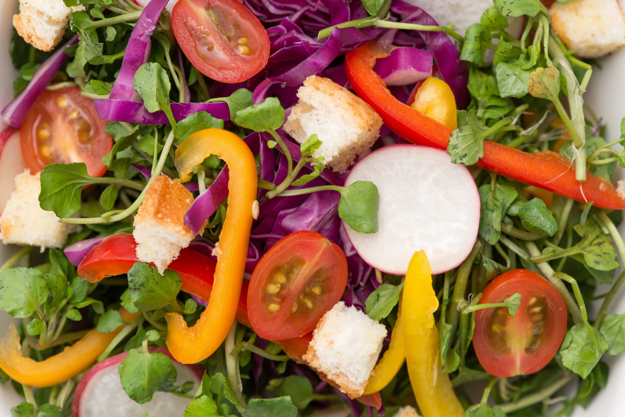 Garden Salad
